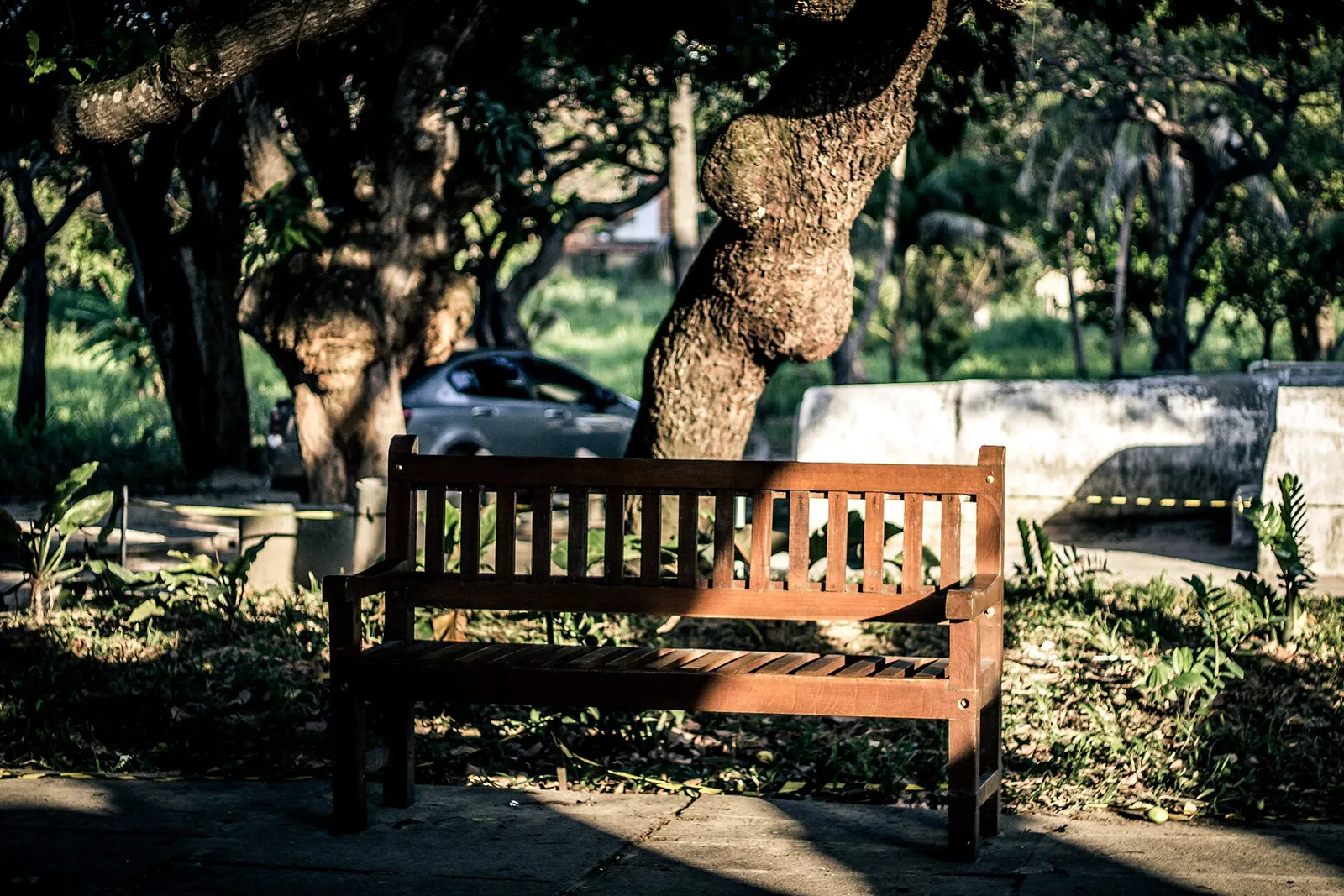 Un banco de madera en el parque de la Casa de José de Alencar