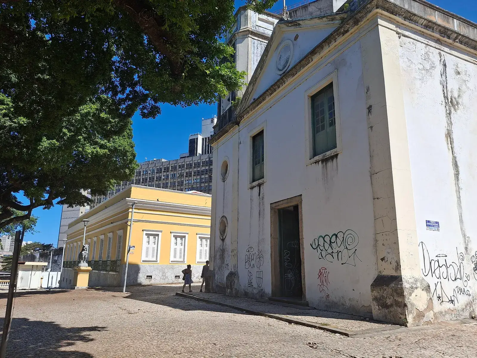 The white front of Igreja do Rosário on Praça dos Leões, with a tree in front